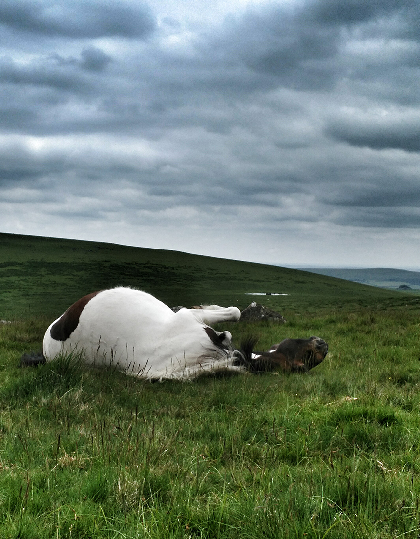 IMG_20160618_135650-2