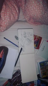 22752535_1350764725049534_1951371336_n